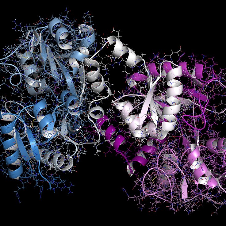 Recombinant Proteins